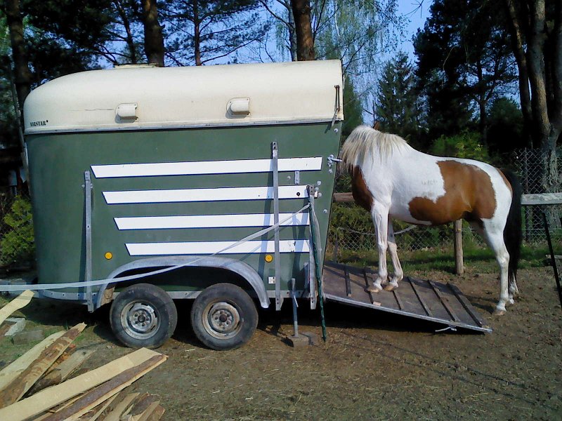 DSC00054